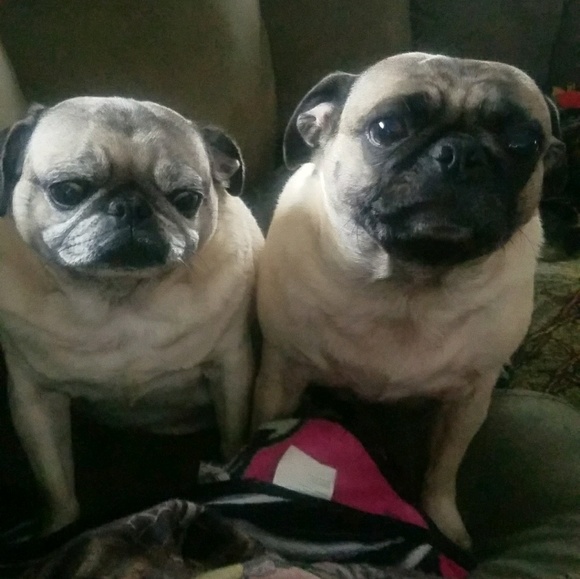 Meet your Posher, Sarah - Picture 1 of 1